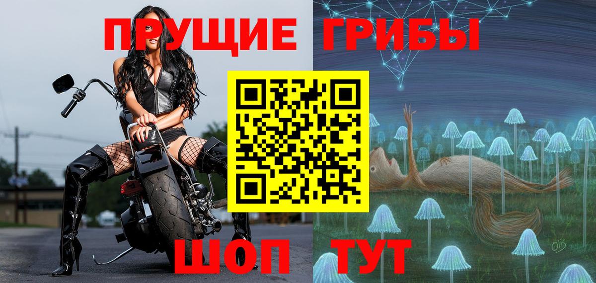 Псилоцибиновые грибы мицелий Орёл